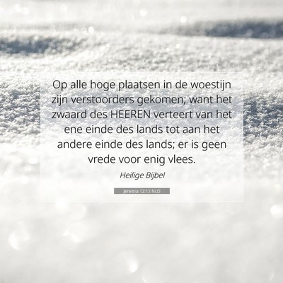 Picture 07 - Jeremia 12:12 NLD - Op alle hoge plaatsen in de woestijn zijn - Bible Verse Picture