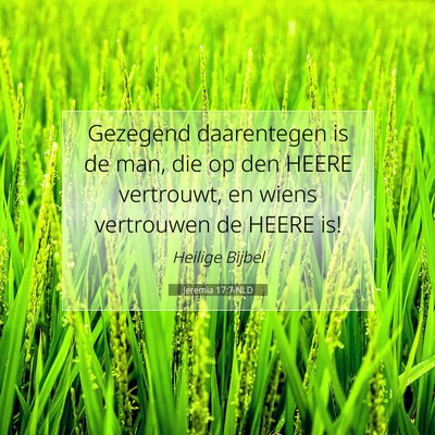 Picture 07 - Jeremia 17:7 NLD - Gezegend daarentegen is de man, die op den HEERE - Bible Verse Picture
