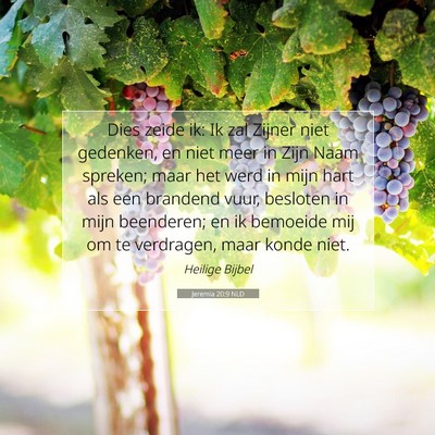 Picture 07 - Jeremia 20:9 NLD - Dies zeide ik: Ik zal Zijner niet gedenken, en - Bible Verse Picture