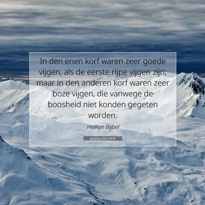 Picture 07 - Jeremia 24:2 NLD - In den enen korf waren zeer goede vijgen, als de - Bible Verse Picture