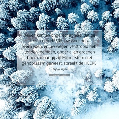 Picture 07 - Jeremia 3:13 NLD - Alleen ken uw ongerechtigheid, dat gij tegen den - Bible Verse Picture