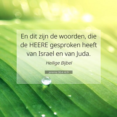 Picture 07 - Jeremia 30:4 NLD - En dit zijn de woorden, die de HEERE gesproken - Bible Verse Picture