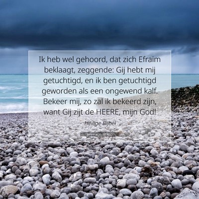 Picture 07 - Jeremia 31:18 NLD - Ik heb wel gehoord, dat zich Efraim beklaagt, - Bible Verse Picture