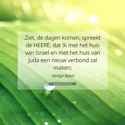 Picture 07 - Jeremia 31:31 NLD - Ziet, de dagen komen, spreekt de HEERE, dat Ik - Bible Verse Picture