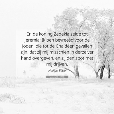 Picture 07 - Jeremia 38:19 NLD - En de koning Zedekia zeide tot Jeremia: Ik ben - Bible Verse Picture