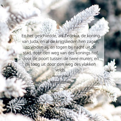 Picture 07 - Jeremia 39:4 NLD - En het geschiedde, als Zedekia, de koning van - Bible Verse Picture