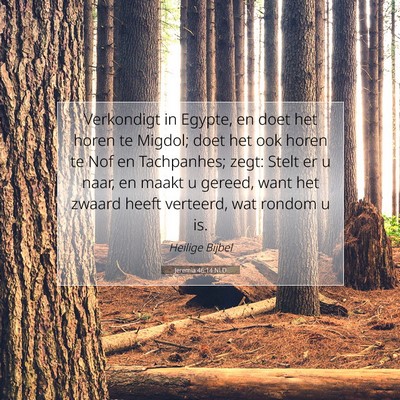 Picture 07 - Jeremia 46:14 NLD - Verkondigt in Egypte, en doet het horen te - Bible Verse Picture