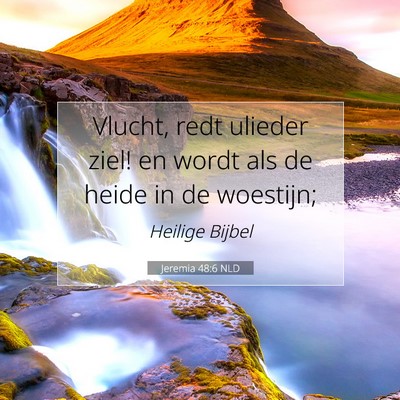Picture 07 - Jeremia 48:6 NLD - Vlucht, redt ulieder ziel! en wordt als de heide - Bible Verse Picture