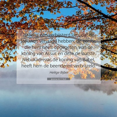 Picture 07 - Jeremia 50:17 NLD - Israel is een verbijsterd lam, dat de leeuwen - Bible Verse Picture