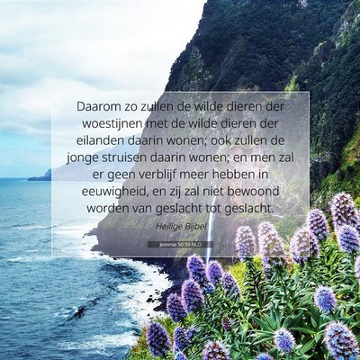 Picture 07 - Jeremia 50:39 NLD - Daarom zo zullen de wilde dieren der woestijnen - Bible Verse Picture