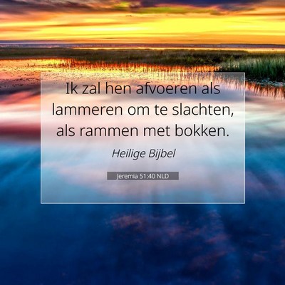 Picture 07 - Jeremia 51:40 NLD - Ik zal hen afvoeren als lammeren om te slachten, - Bible Verse Picture