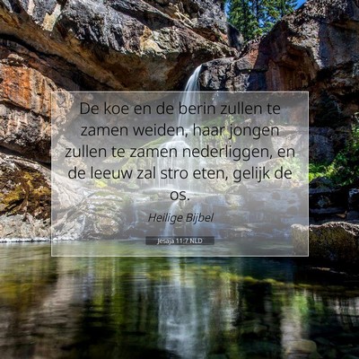 Picture 07 - Jesaja 11:7 NLD - De koe en de berin zullen te zamen weiden, haar - Bible Verse Picture