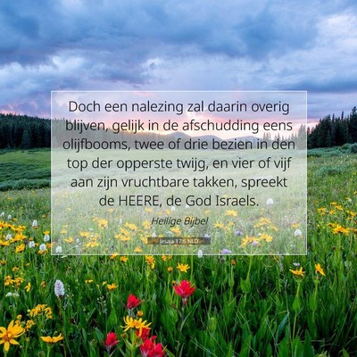 Picture 07 - Jesaja 17:6 NLD - Doch een nalezing zal daarin overig blijven, - Bible Verse Picture