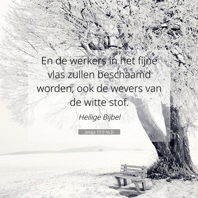 Picture 07 - Jesaja 19:9 NLD - En de werkers in het fijne vlas zullen beschaamd - Bible Verse Picture