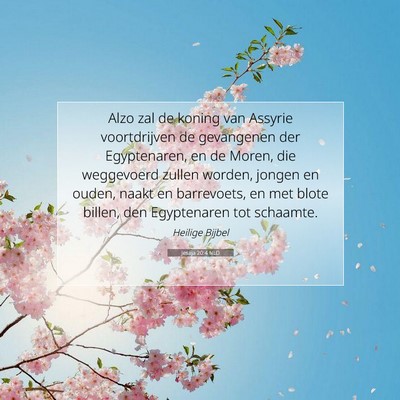 Picture 07 - Jesaja 20:4 NLD - Alzo zal de koning van Assyrie voortdrijven de - Bible Verse Picture