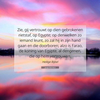 Picture 07 - Jesaja 36:6 NLD - Zie, gij vertrouwt op dien gebrokenen rietstaf, - Bible Verse Picture
