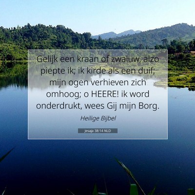Picture 07 - Jesaja 38:14 NLD - Gelijk een kraan of zwaluw, alzo piepte ik; ik - Bible Verse Picture