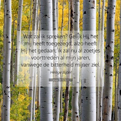 Picture 07 - Jesaja 38:15 NLD - Wat zal ik spreken? Gelijk Hij het mij heeft - Bible Verse Picture