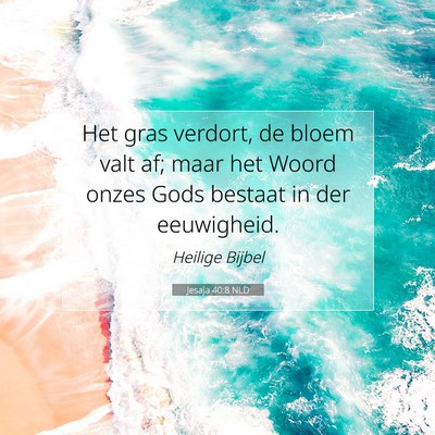 Picture 07 - Jesaja 40:8 NLD - Het gras verdort, de bloem valt af; maar het - Bible Verse Picture