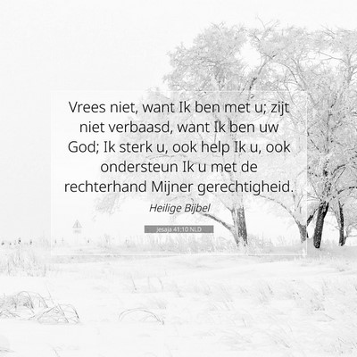 Picture 07 - Jesaja 41:10 NLD - Vrees niet, want Ik ben met u; zijt niet - Bible Verse Picture