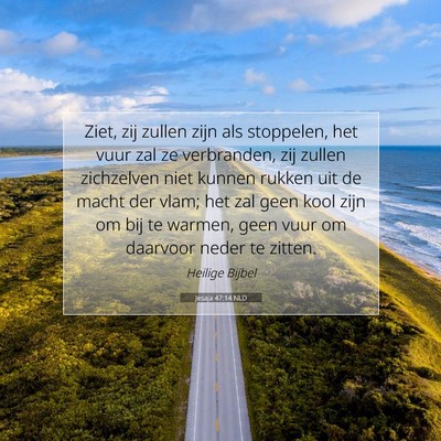 Picture 07 - Jesaja 47:14 NLD - Ziet, zij zullen zijn als stoppelen, het vuur zal - Bible Verse Picture