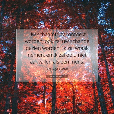 Picture 07 - Jesaja 47:3 NLD - Uw schaamte zal ontdekt worden, ook zal uw - Bible Verse Picture