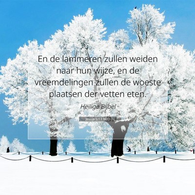 Picture 07 - Jesaja 5:17 NLD - En de lammeren zullen weiden naar hun wijze, en - Bible Verse Picture