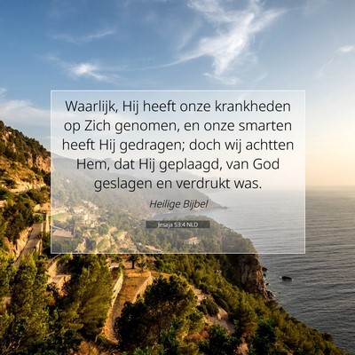 Picture 07 - Jesaja 53:4 NLD - Waarlijk, Hij heeft onze krankheden op Zich - Bible Verse Picture
