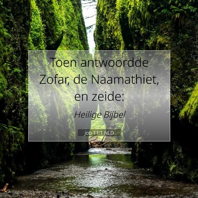 Picture 07 - Job 11:1 NLD - Toen antwoordde Zofar, de Naamathiet, en - Bible Verse Picture