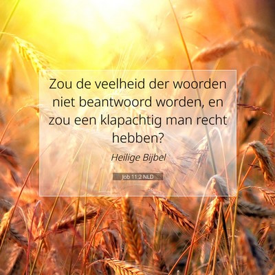 Picture 07 - Job 11:2 NLD - Zou de veelheid der woorden niet beantwoord - Bible Verse Picture