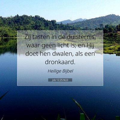 Picture 07 - Job 12:25 NLD - Zij tasten in de duisternis, waar geen licht is; - Bible Verse Picture