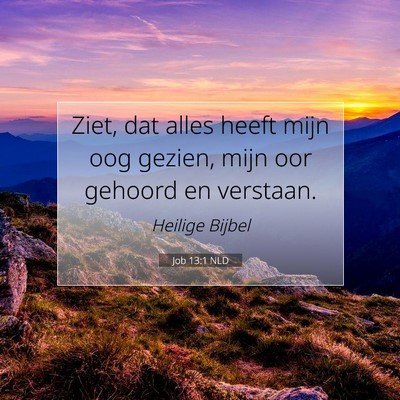 Picture 07 - Job 13:1 NLD - Ziet, dat alles heeft mijn oog gezien, mijn oor - Bible Verse Picture
