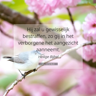 Picture 07 - Job 13:10 NLD - Hij zal u gewisselijk bestraffen, zo gij in het - Bible Verse Picture