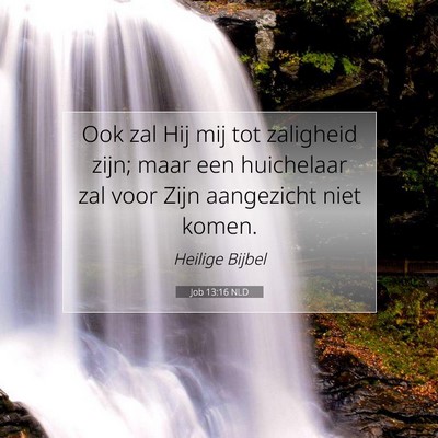 Picture 07 - Job 13:16 NLD - Ook zal Hij mij tot zaligheid zijn; maar een - Bible Verse Picture
