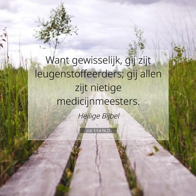 Picture 07 - Job 13:4 NLD - Want gewisselijk, gij zijt leugenstoffeerders; - Bible Verse Picture