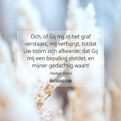 Picture 07 - Job 14:13 NLD - Och, of Gij mij in het graf verstaakt, mij - Bible Verse Picture