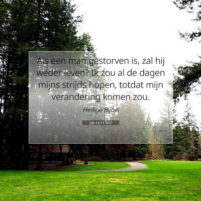 Picture 07 - Job 14:14 NLD - Als een man gestorven is, zal hij weder leven? Ik - Bible Verse Picture