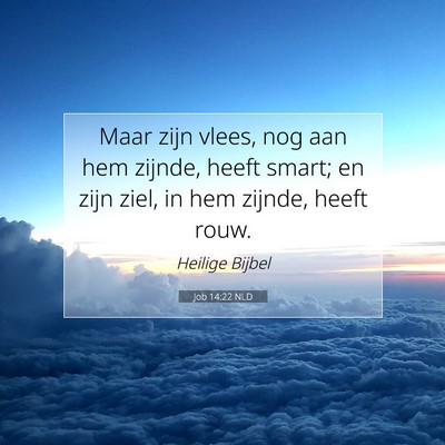 Picture 07 - Job 14:22 NLD - Maar zijn vlees, nog aan hem zijnde, heeft smart; - Bible Verse Picture