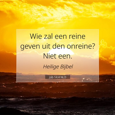 Picture 07 - Job 14:4 NLD - Wie zal een reine geven uit den onreine? Niet - Bible Verse Picture