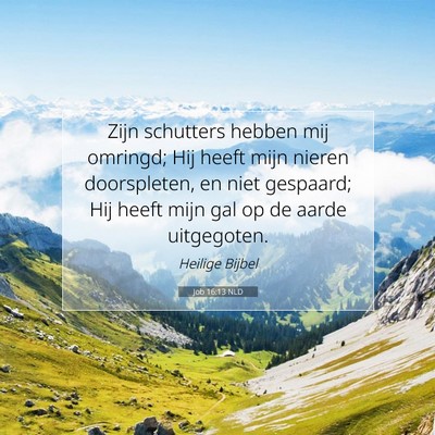 Picture 07 - Job 16:13 NLD - Zijn schutters hebben mij omringd; Hij heeft mijn - Bible Verse Picture