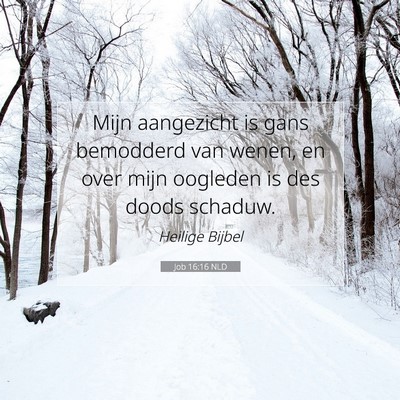 Picture 07 - Job 16:16 NLD - Mijn aangezicht is gans bemodderd van wenen, en - Bible Verse Picture