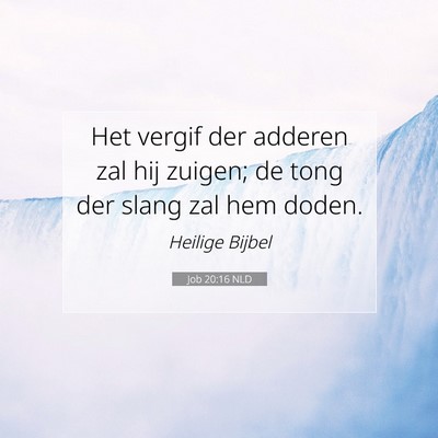 Picture 07 - Job 20:16 NLD - Het vergif der adderen zal hij zuigen; de tong - Bible Verse Picture