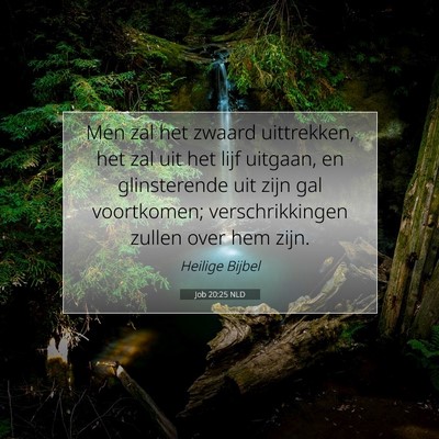 Picture 07 - Job 20:25 NLD - Men zal het zwaard uittrekken, het zal uit het - Bible Verse Picture
