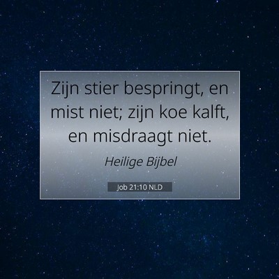 Picture 07 - Job 21:10 NLD - Zijn stier bespringt, en mist niet; zijn koe - Bible Verse Picture