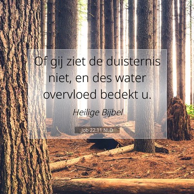Picture 07 - Job 22:11 NLD - Of gij ziet de duisternis niet, en des water - Bible Verse Picture