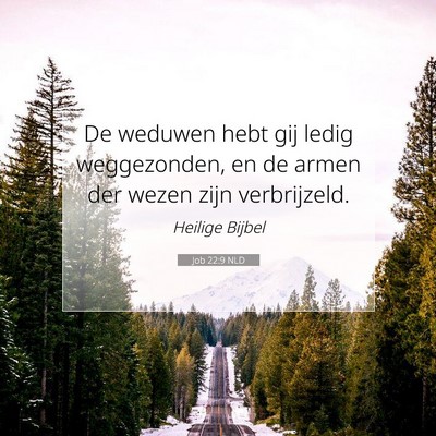 Picture 07 - Job 22:9 NLD - De weduwen hebt gij ledig weggezonden, en de - Bible Verse Picture