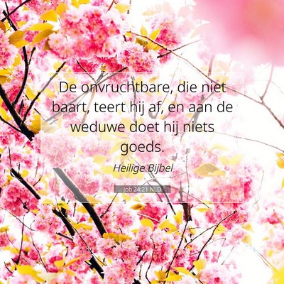 Picture 07 - Job 24:21 NLD - De onvruchtbare, die niet baart, teert hij af, en - Bible Verse Picture