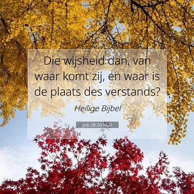 Picture 07 - Job 28:20 NLD - Die wijsheid dan, van waar komt zij, en waar is - Bible Verse Picture