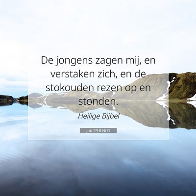 Picture 07 - Job 29:8 NLD - De jongens zagen mij, en verstaken zich, en de - Bible Verse Picture