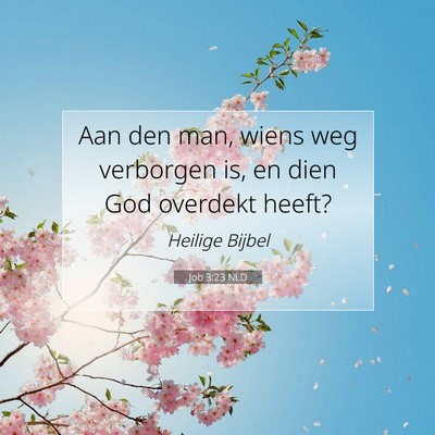 Picture 07 - Job 3:23 NLD - Aan den man, wiens weg verborgen is, en dien God - Bible Verse Picture